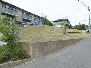 3-a.jpg